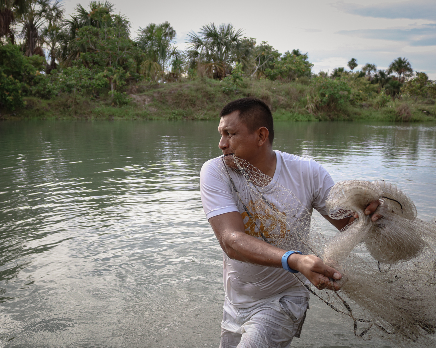 “The first time we tried to raise fish, we put more than 2,000 fry in the pond, and almost all of them died from lack of space,” Silva says. Today, fish farming has become an answer to the problem of how to eat healthy fish, as well as a source of income for the family.