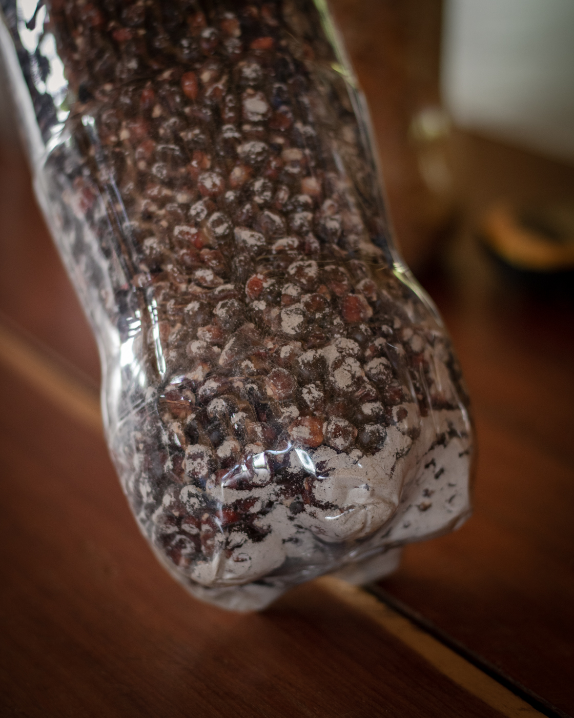 A plastic bottle filled with beans and ashes, to keep the seeds fertile and protected from pests.