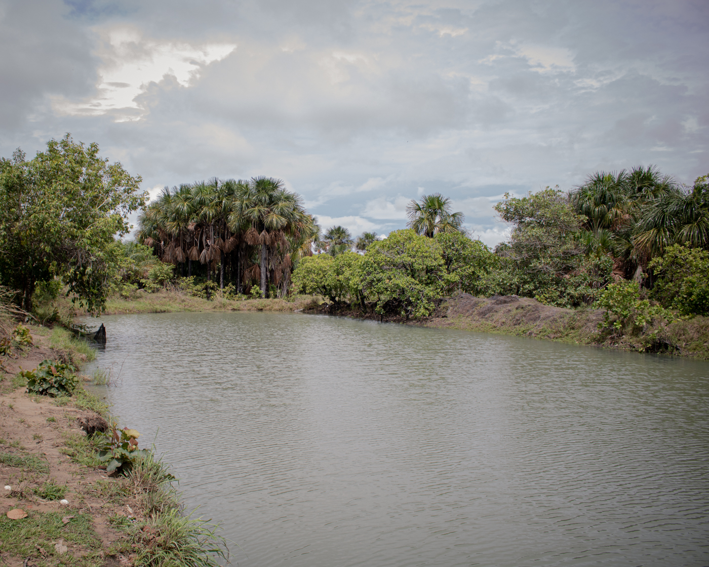 The Tabalascada farmers’ association’s fish pond is located behind the home of Andreia Machado and Deodato Leocadio da Silva Filho. In the community, nearly all production, from crops to poultry to fish, is traded and consumed within the community.