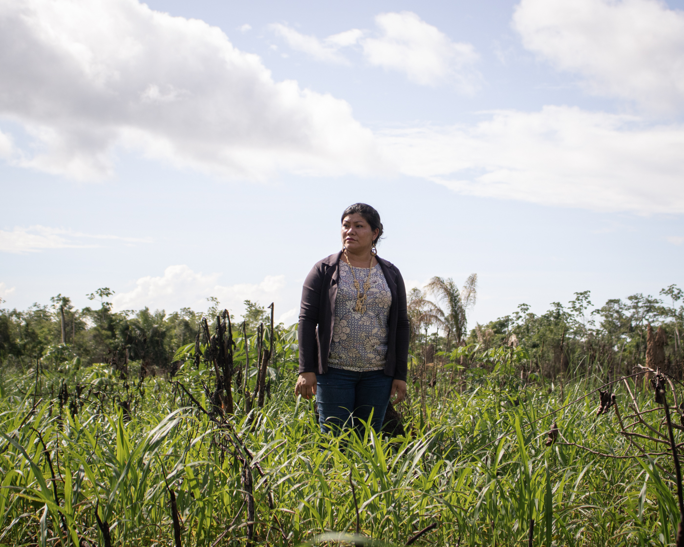 Since becoming the tuxaua of Novo Paraíso, Maria Loreta Pascoal has taken on the job of warning the community about the risks of deforesting new areas for farming. There’s enough cleared land for sustainable rotational farming, she says.